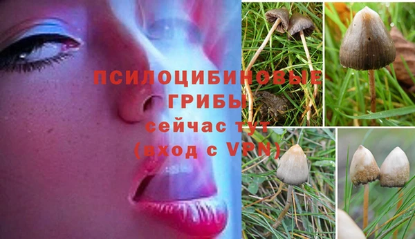 Альфа ПВП Армянск