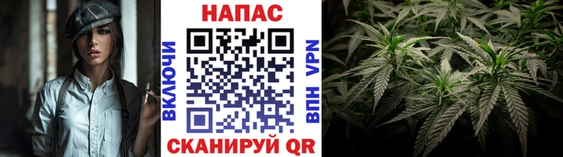 дарнет шоп  Соликамск  Шишки марихуана план 